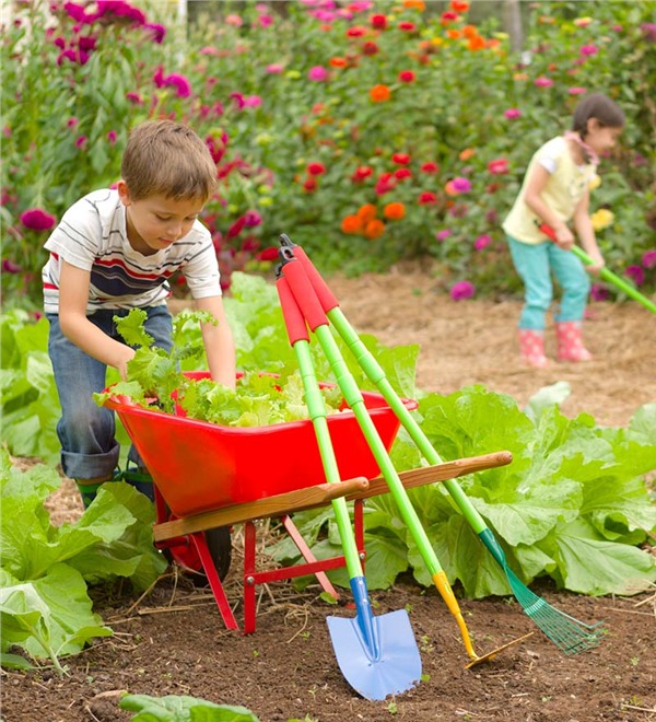 Poly kids wheelbarrow WB26015.jpg